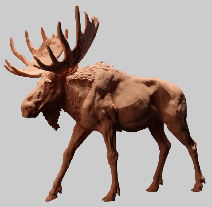 AD003 Moose