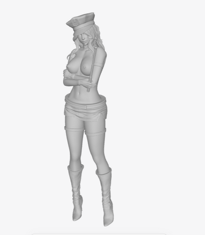MM363 Police Pin Up Valerie