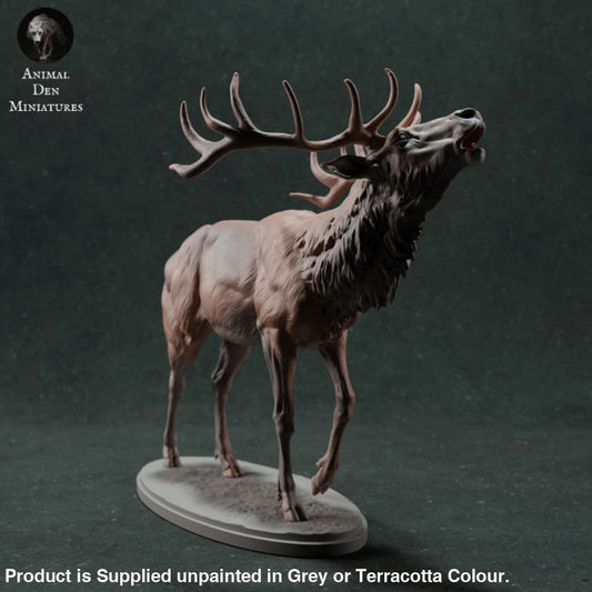 Adm021 Red Deer Stag Calling X 1 Animal