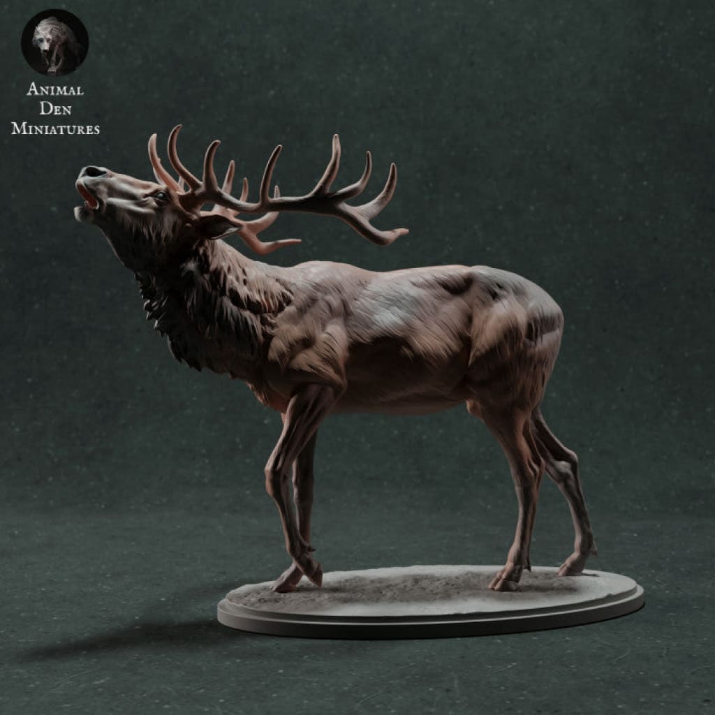 Adm021 Red Deer Stag Calling X 1 Animal
