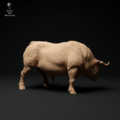 Adm1004 Red-Devon-Bull-Grazing Animal