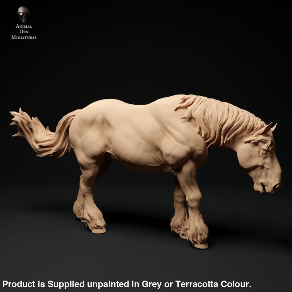 Adm1006 Suffolk-Punch-Horse-Feeding Animal