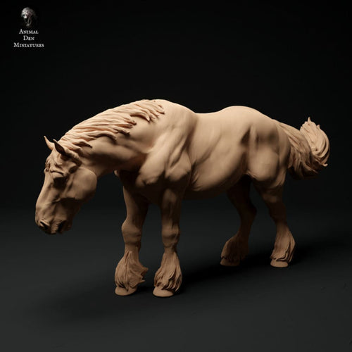 Adm1006 Suffolk-Punch-Horse-Feeding Animal