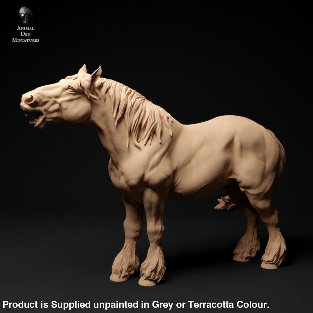 Adm1007 Suffolk-Punch-Horse-Neigh X 1 Animal