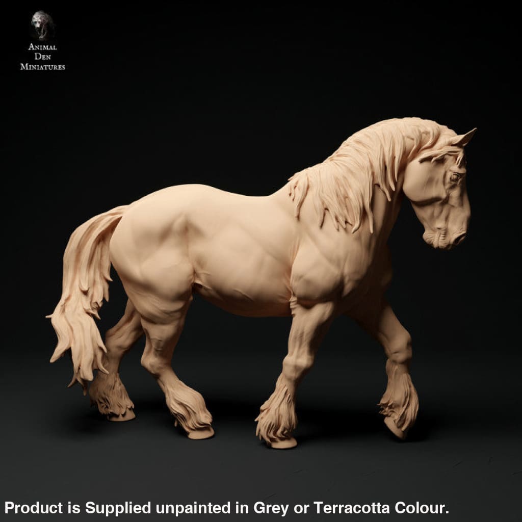 Adm1009 Suffolk-Punch-Horse-Walk Animal