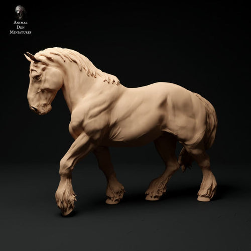 Adm1009 Suffolk-Punch-Horse-Walk Animal