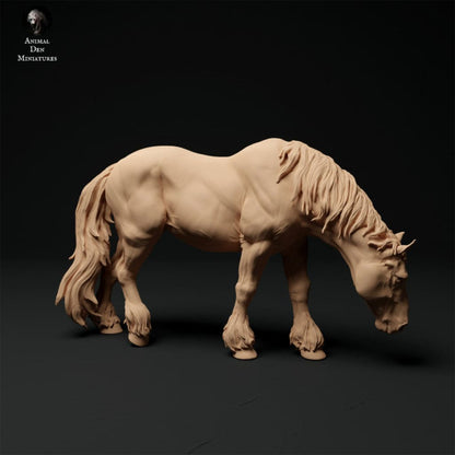 Adm1010 Suffolk-Punch-Mare-Grazing Animal