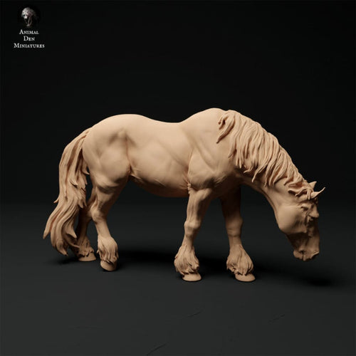 Adm1010 Suffolk-Punch-Mare-Grazing Animal