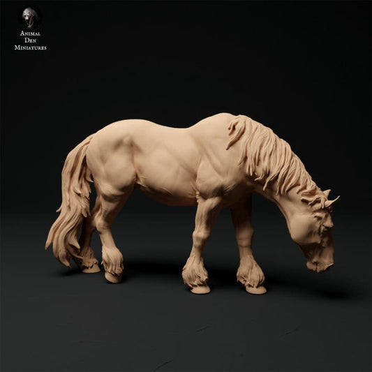 Adm1010 Suffolk-Punch-Mare-Grazing Animal
