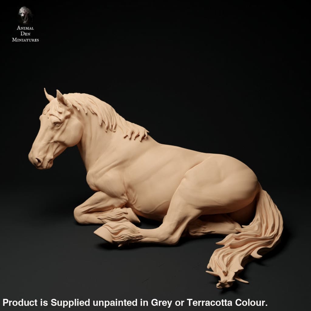 Adm1011 Suffolk-Punch-Mare-Lying Animal