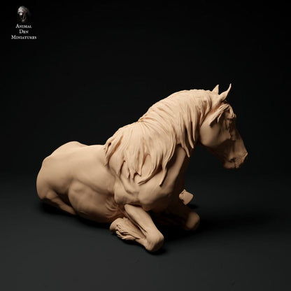 Adm1011 Suffolk-Punch-Mare-Lying Animal