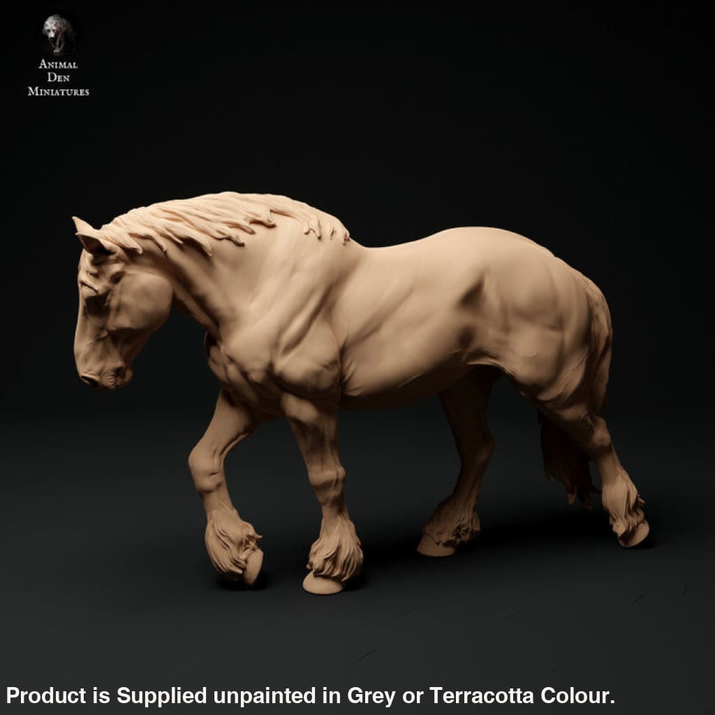 Adm1012 Suffolk-Punch-Mare-Walking Animal