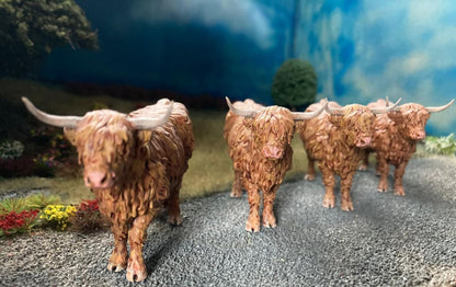 ADM1501 Highland Cow Standing licking nose Animal