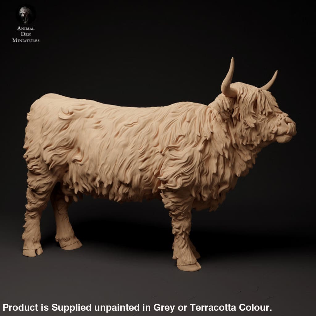 Adm1501 Highland Cow Standing Licking Nose X 2 Animal