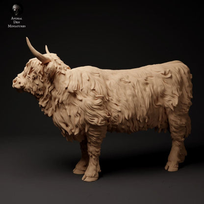 Adm1501 Highland Cow Standing Licking Nose X 2 Animal
