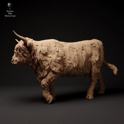 Adm1502 Highland Cow Walking X 2 Animal