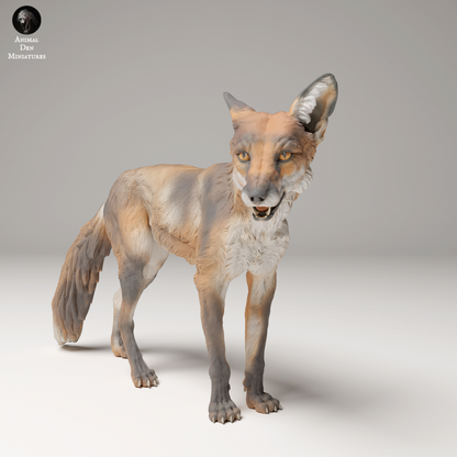 Adm2008 Red Fox X 3 Animal