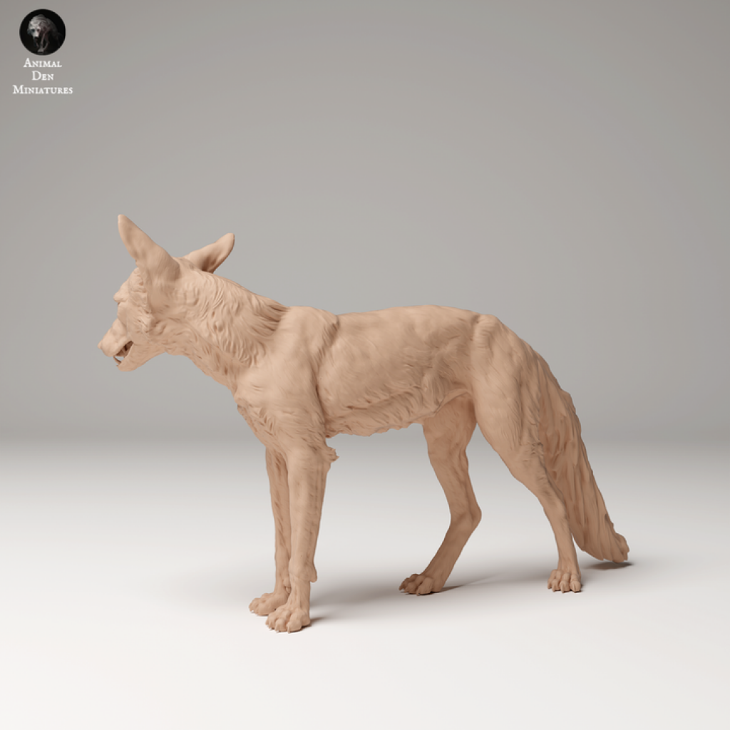 Adm2008 Red Fox X 3 Animal