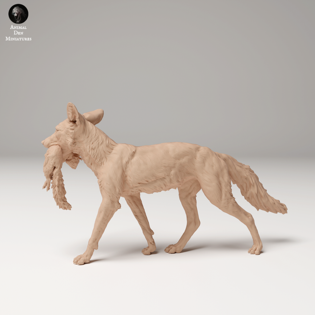 Adm2009 Red Fox Holding A Squirrel X 3 Animal