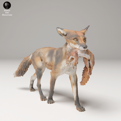 Adm2009 Red Fox Holding A Squirrel X 3 Animal