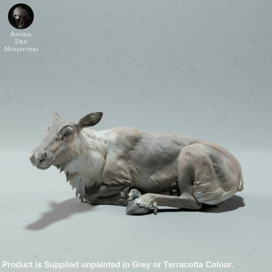 ADM2020 Reindeer / Caribou Female 1:32 Animal