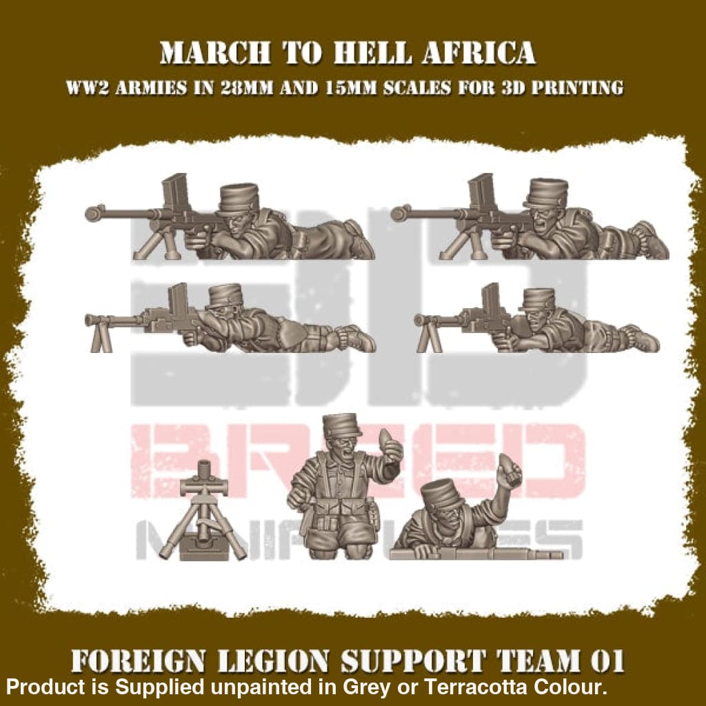 French Foreign Legion SUPPORT TEAM 01 Figure