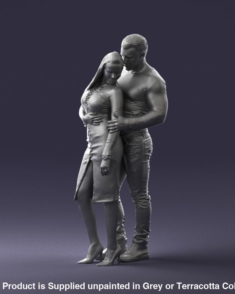 Young Smart Couple Hugging Figure