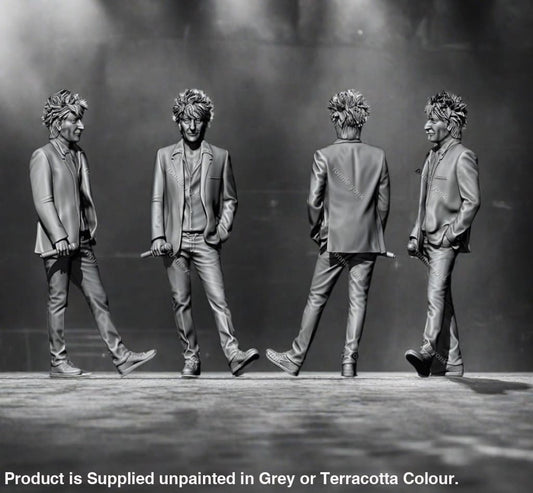 Mm1014 Rod Stewart Figure