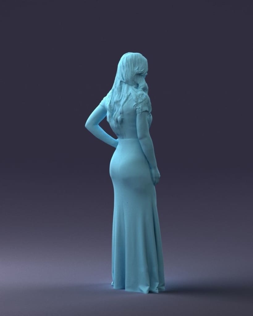 Female In Evening Dress Figure