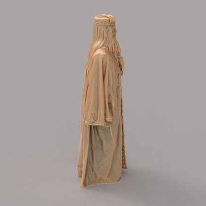 MM2133 - Harry Potter - Dumbledore Figure