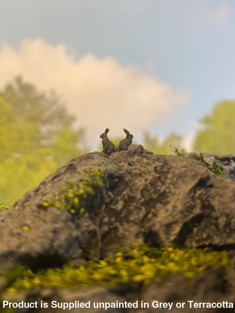 Standing Sitting Rabbit X 14