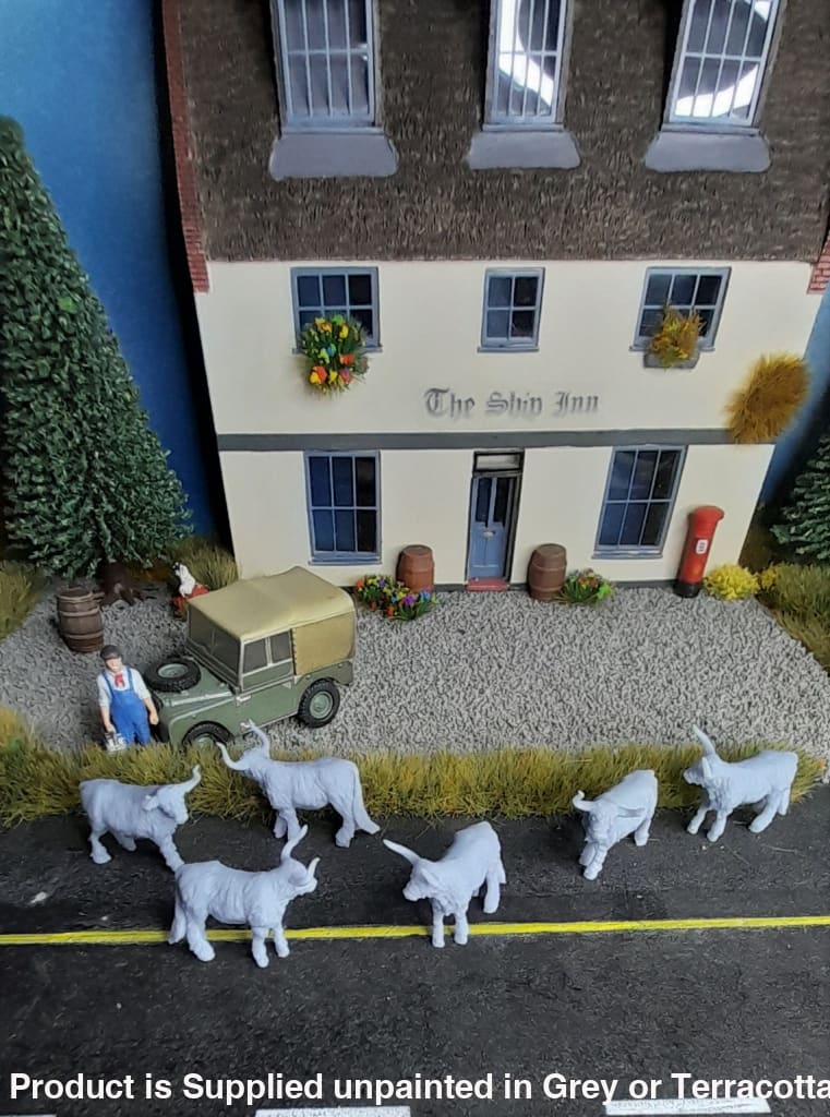 Small Highland Cattle X 6 Cow