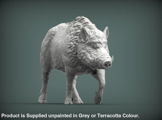 Mma072 - Wild Boar Walking X 2 Zoo