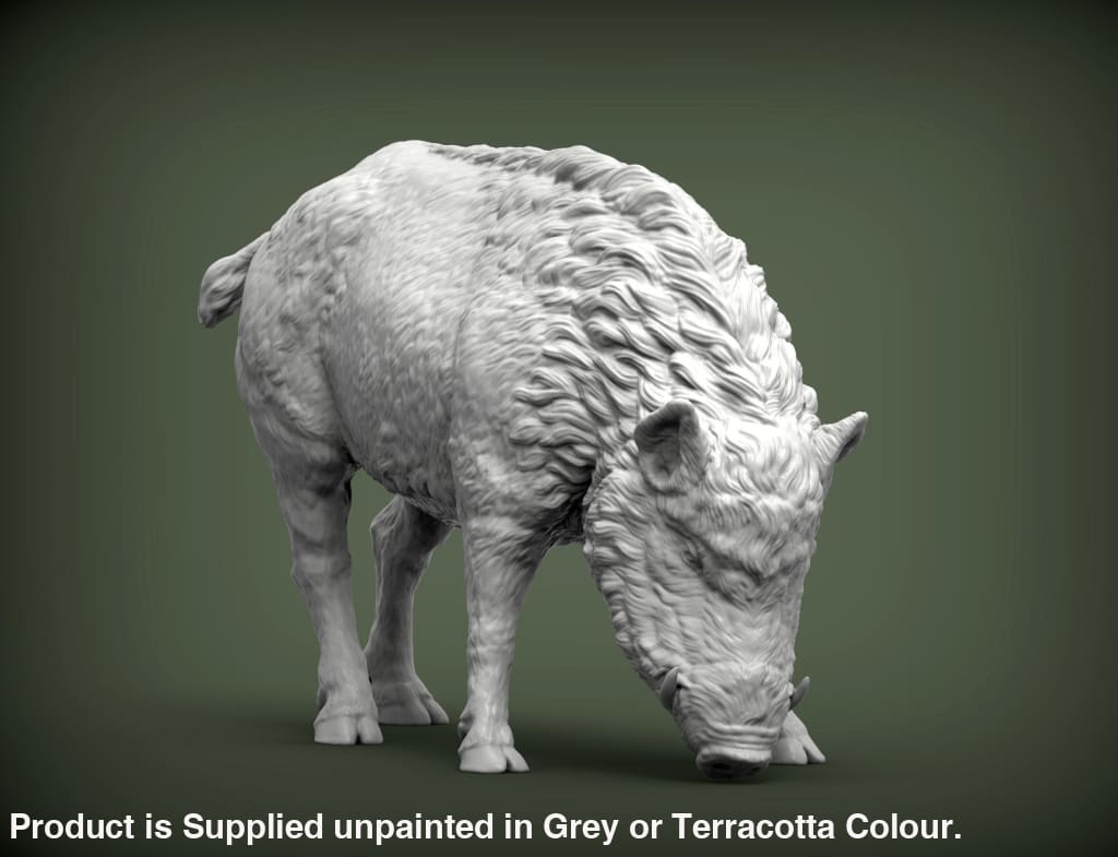 Mma073 - Wild Boar Eating X 2 Zoo