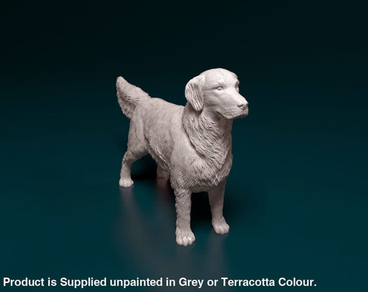 Golden Retriever Standing Dog