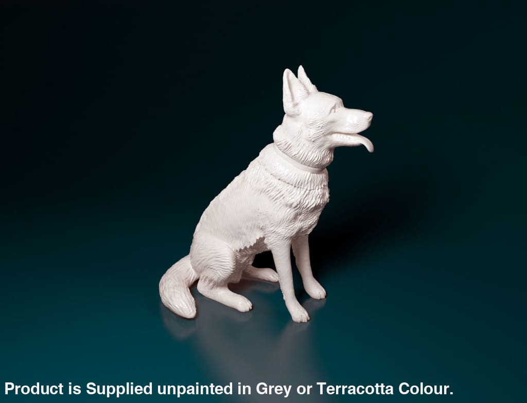 German Shepherd Sitting Dog