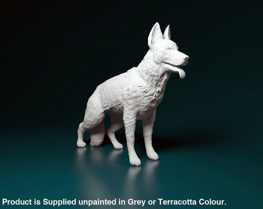 German Shepherd Standing Dog