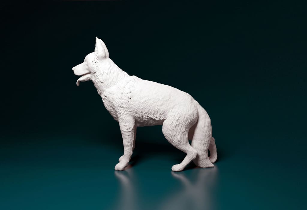 German Shepherd Standing Dog