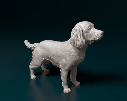 Springer Dog