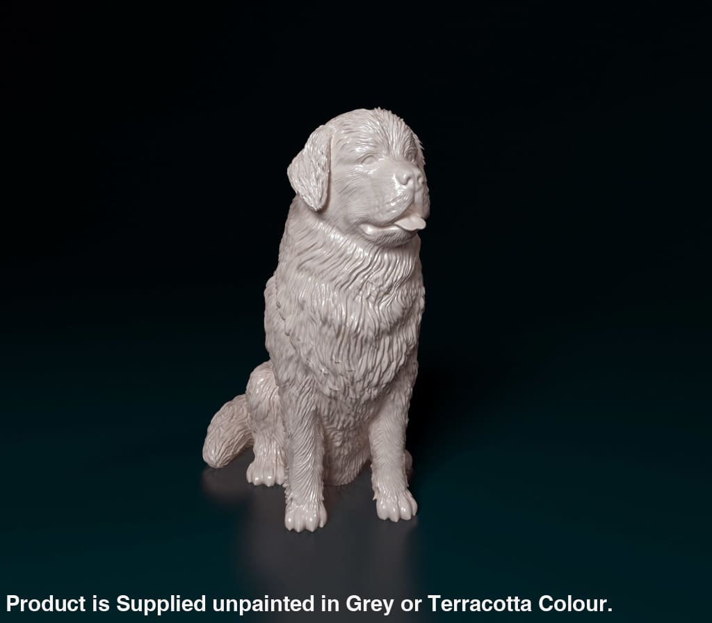 Newfoundland Sitting Dog