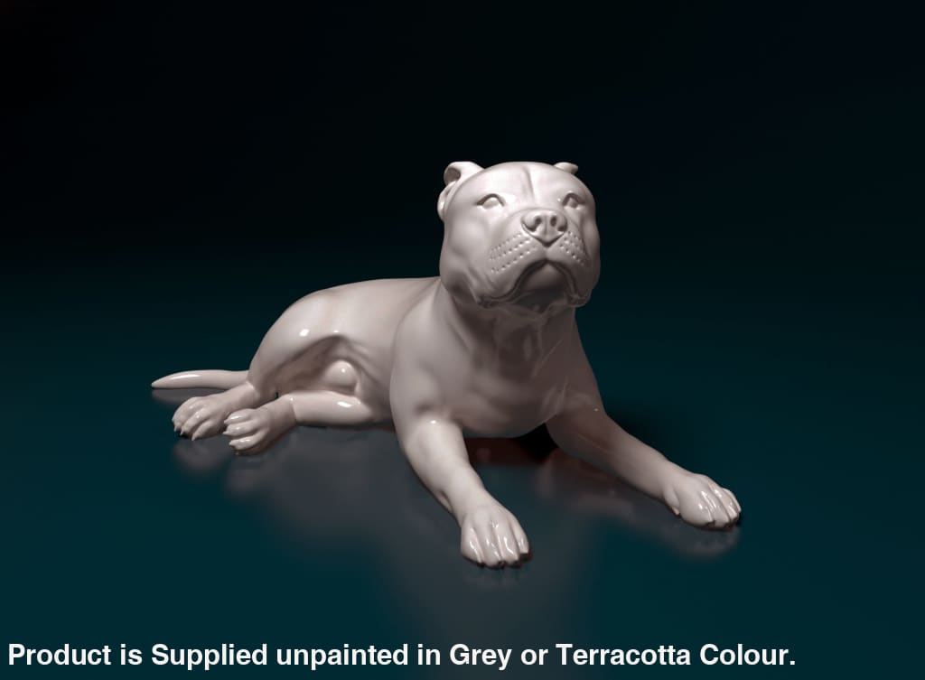 Pitbull/staffy Lying Down Dog