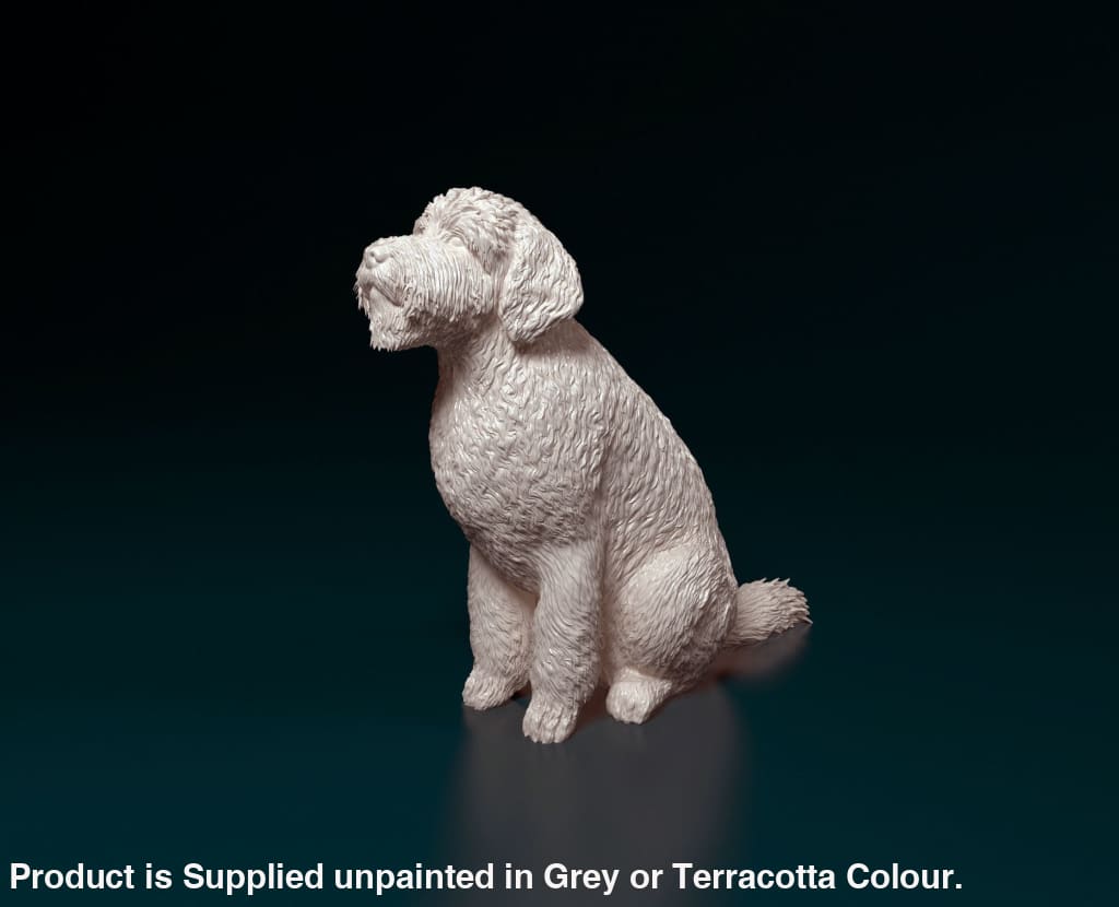 Goldendoodle Dog