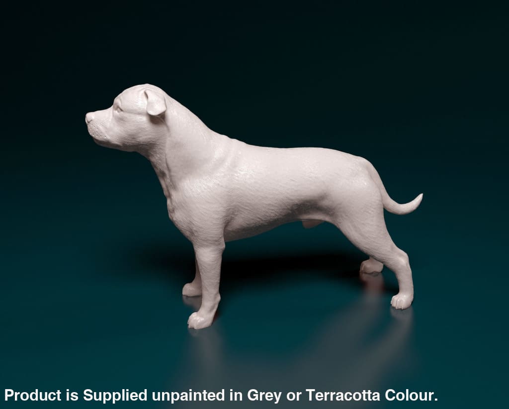 Staff Bull Terrier Standing Dog