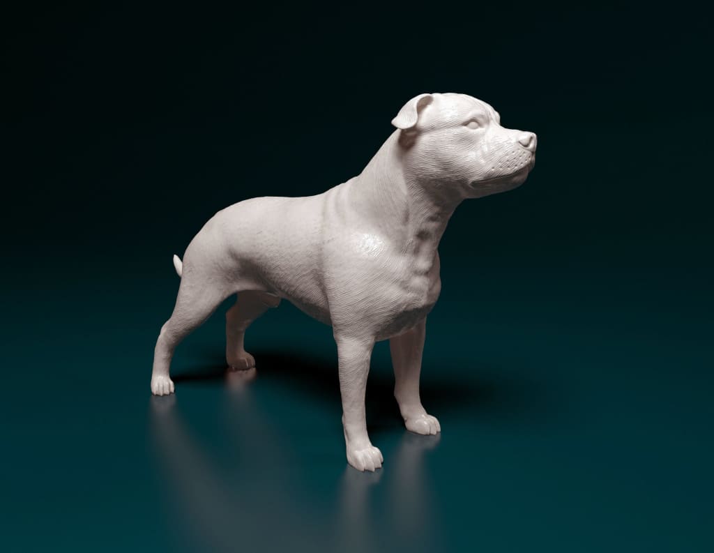 Staff Bull Terrier Standing Dog