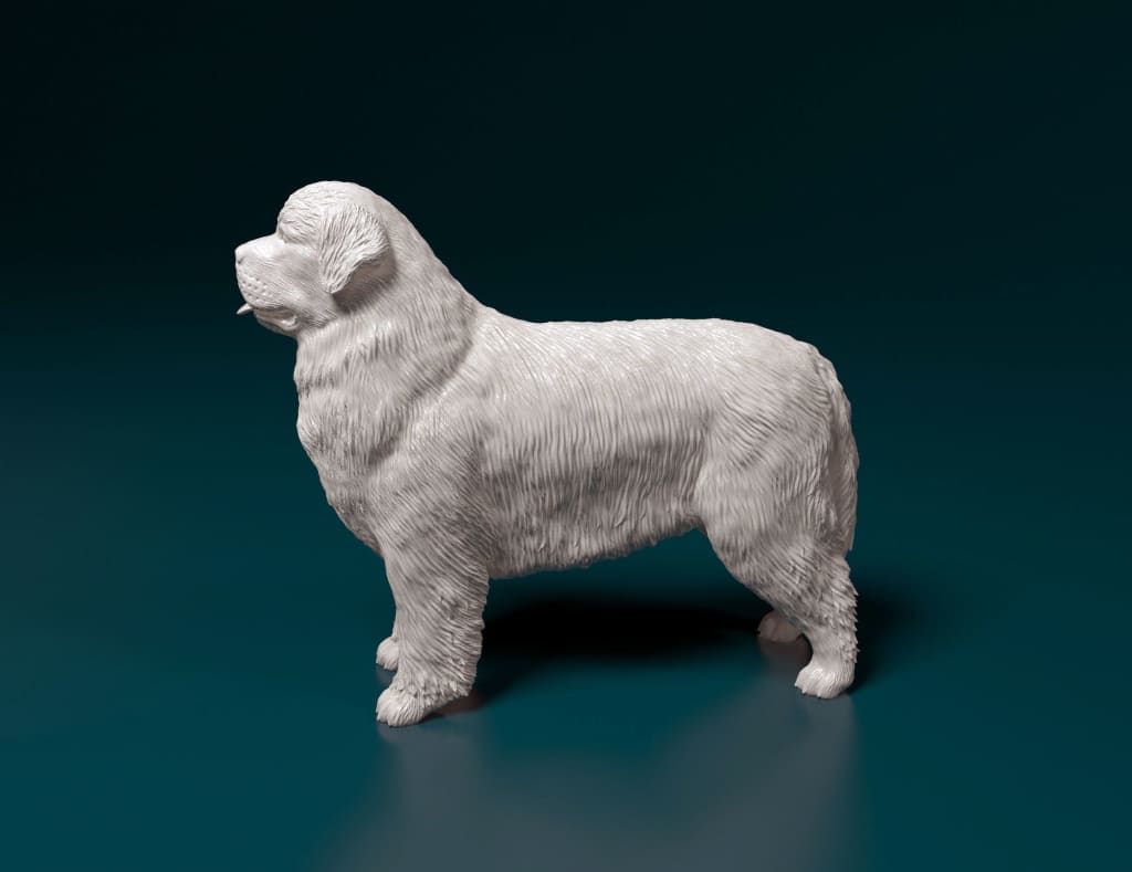 Newfoundland Standing Dog