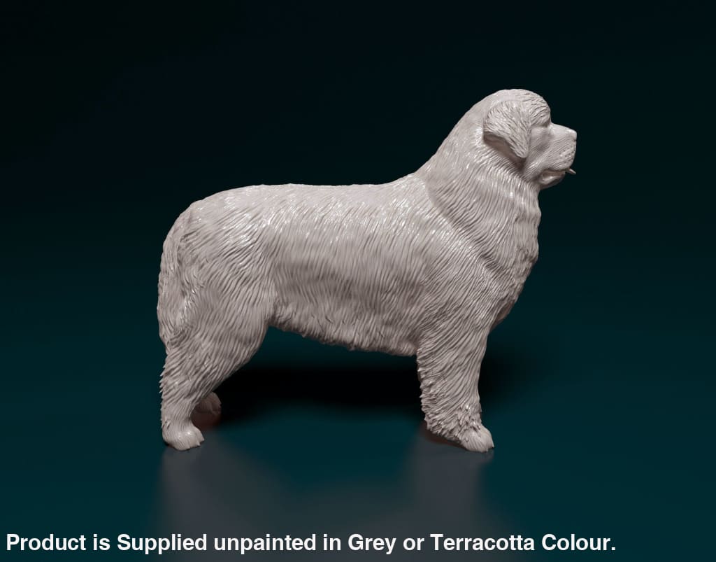 Newfoundland Standing Dog