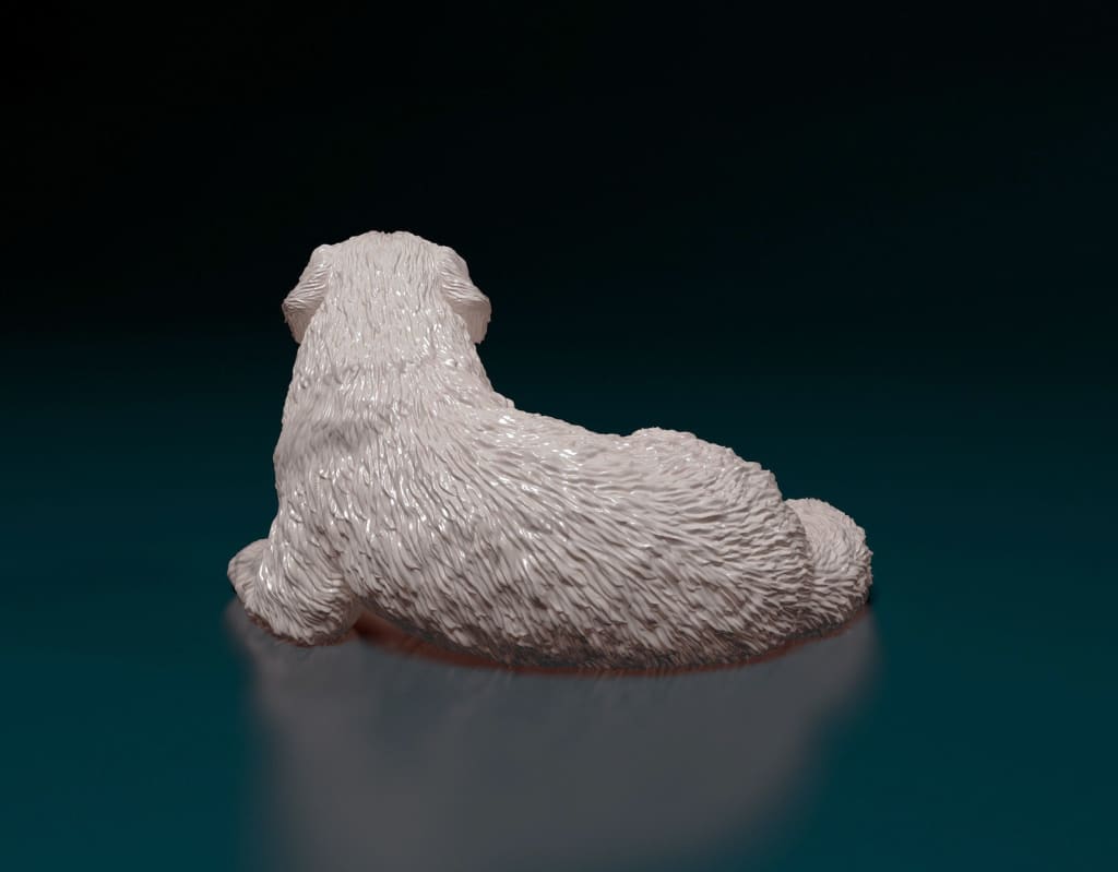 Newfoundland Lying Down Dog