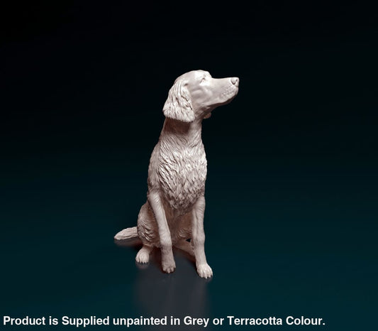 Irish Setter Sitting Dog