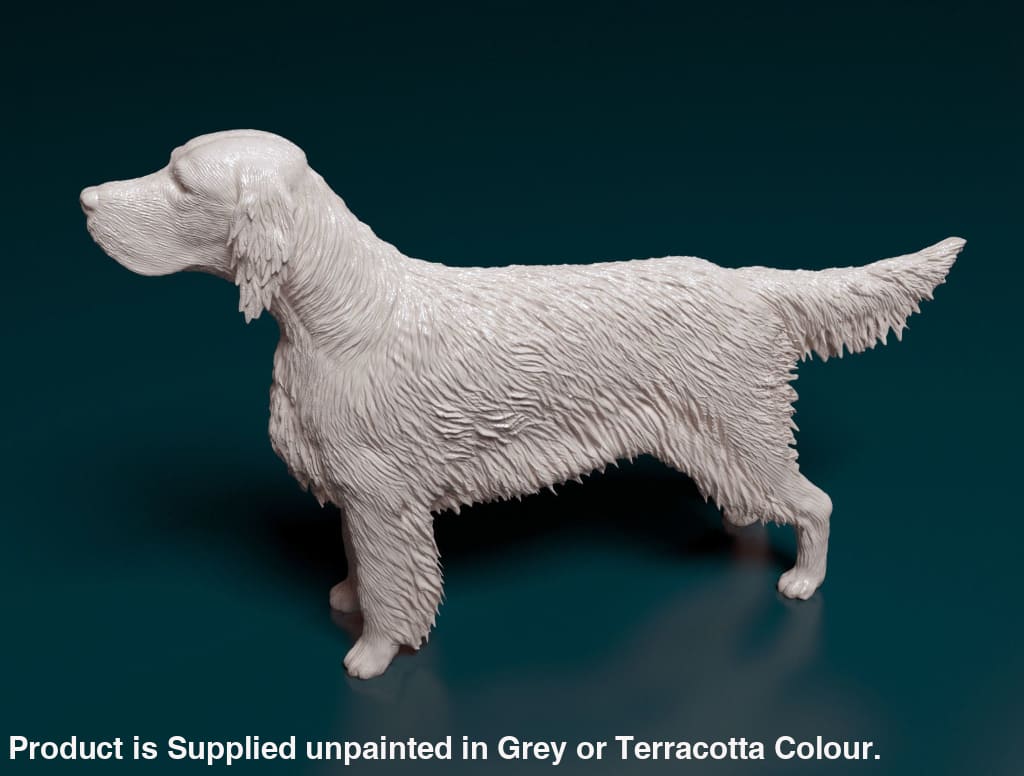 English Setter Standing Dog