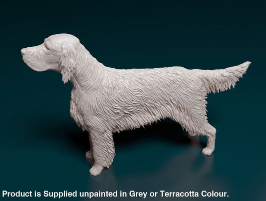 English Setter Standing Dog